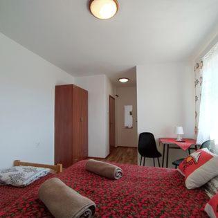 "U Skowronkow" Bed & Breakfast Bukowina Tatrzańska Eksteriør bilde